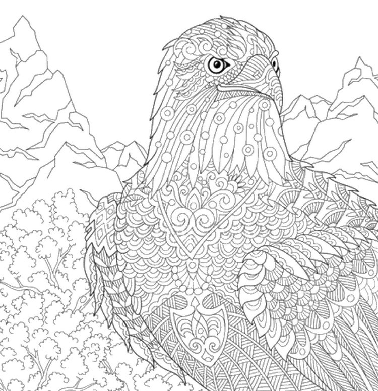 Dibujo para colorear relajante Montana : Águila 13