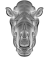 Coloriage anti-stress Rhinoceros