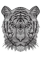 Coloriage anti-stress Tigre