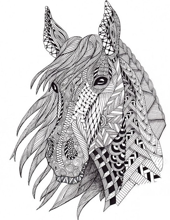 art therapy coloring page horses  head of horse 2