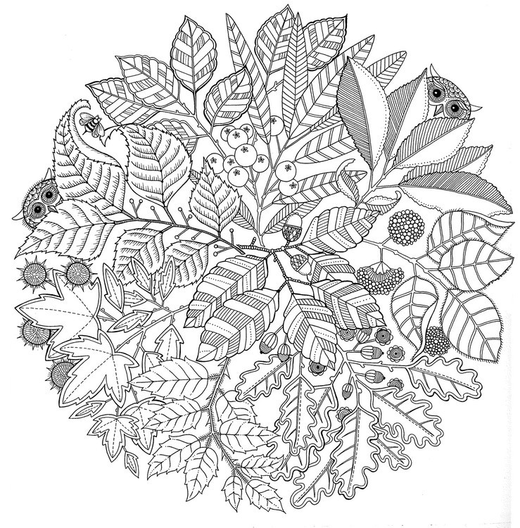 Art Therapy coloring page Autumn : Mandala Autumn 1